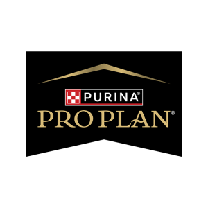 Logo Pro Plan