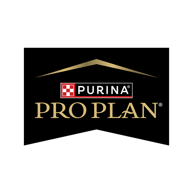 Pro Plan